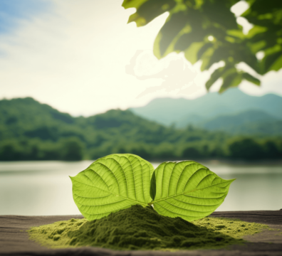 kratom v prirode