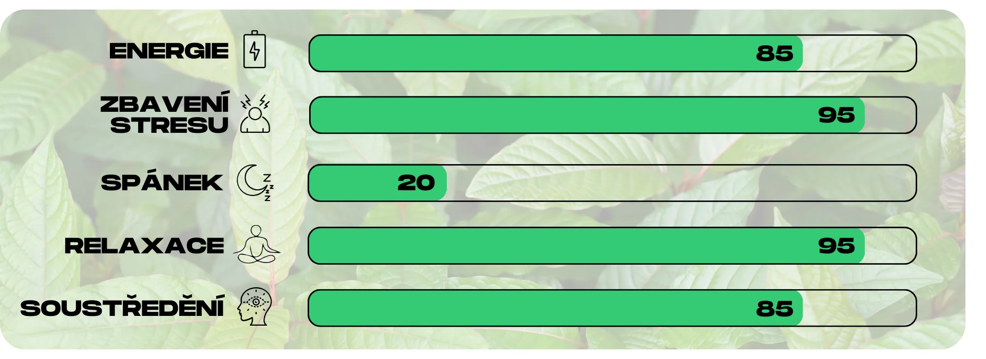 ucinky kratomu green jongkong