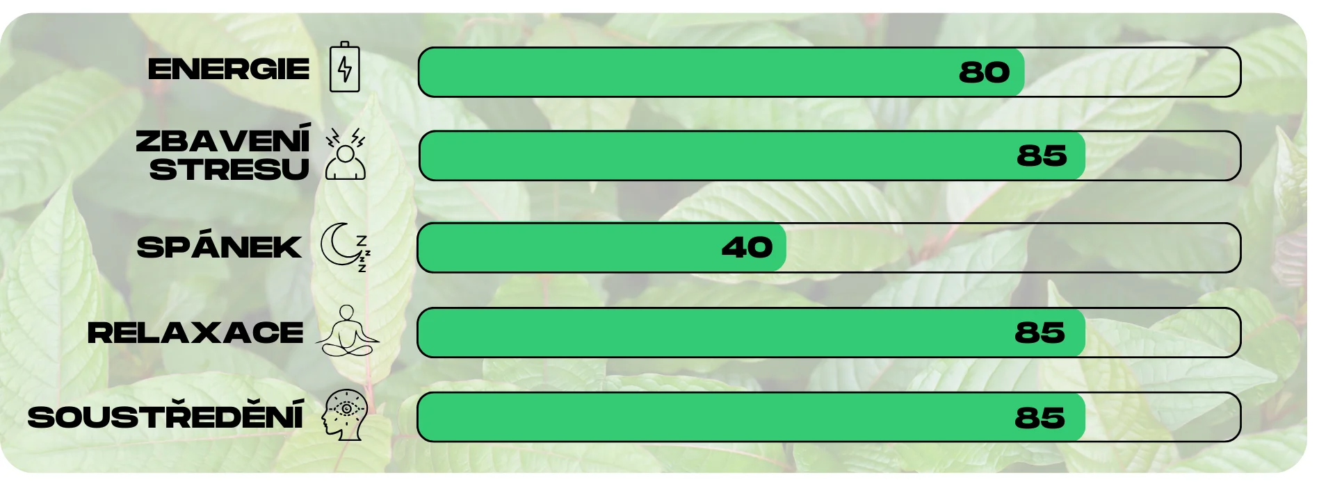 ucinky kratomu green ketapang