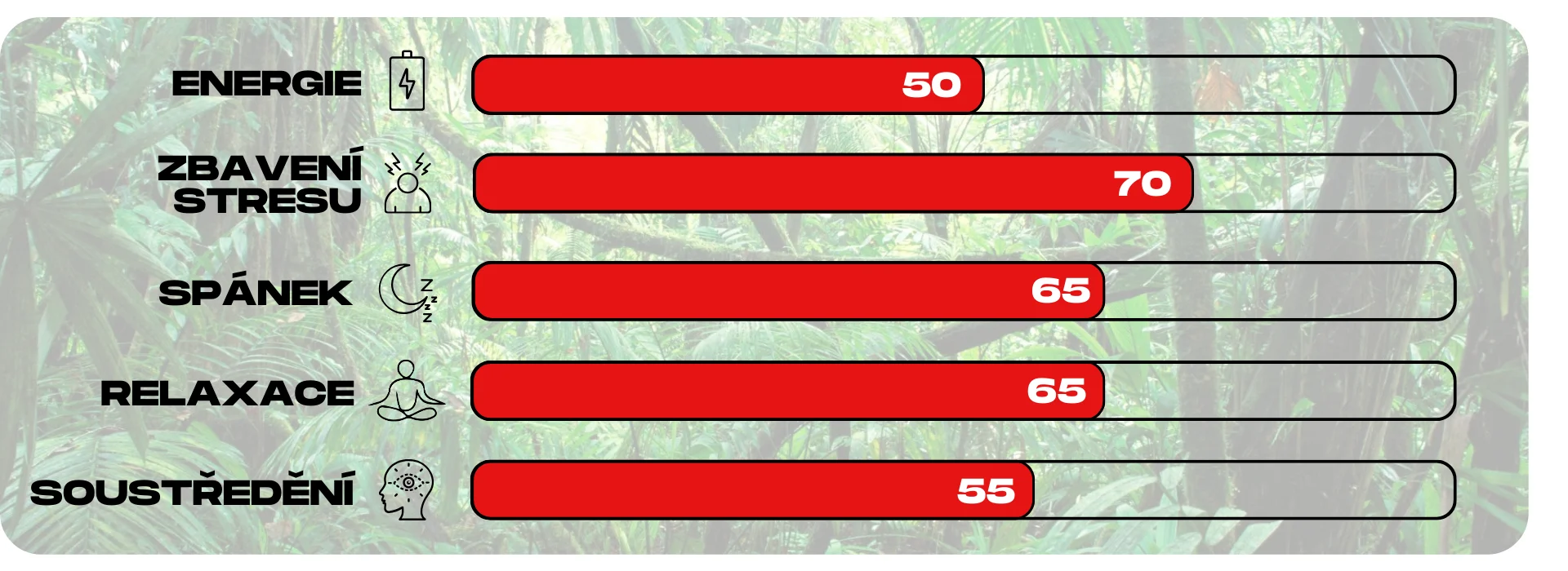 ucinky kratomu red ketapang