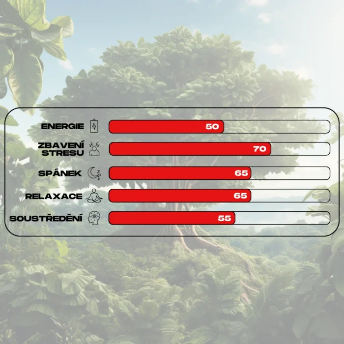 ucinky kratomu red ketapang