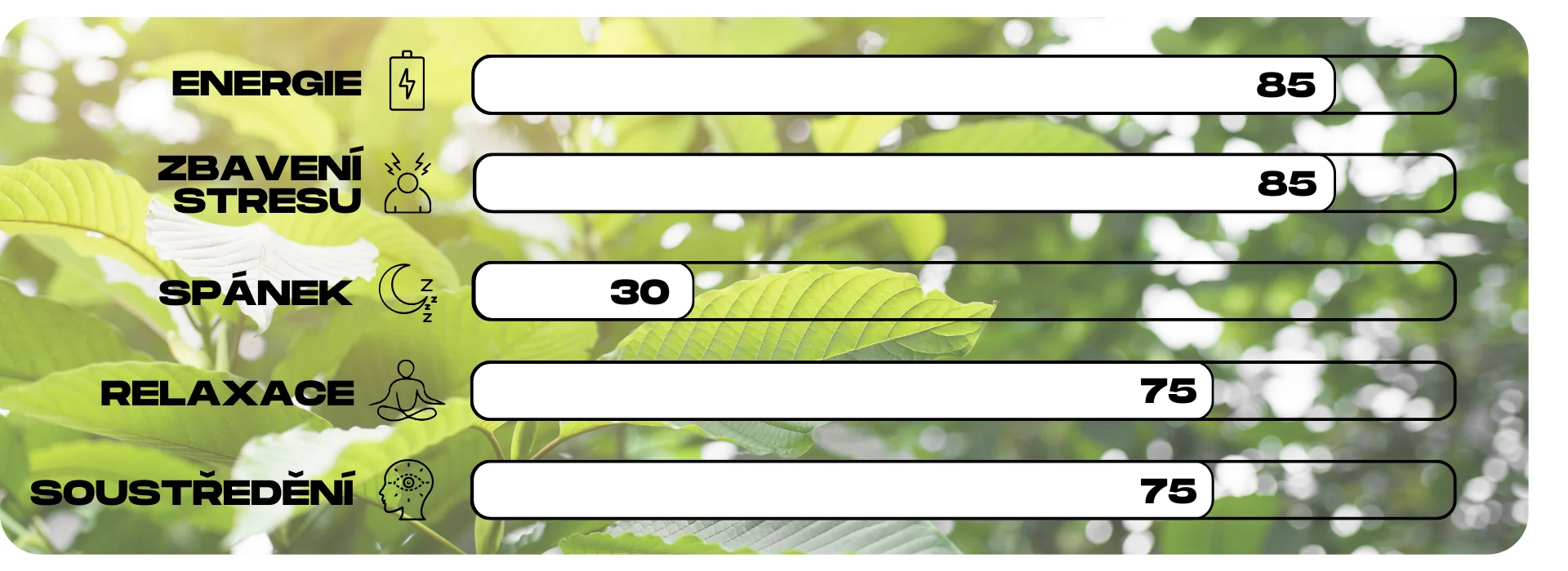 ucinky kratomu white borneo