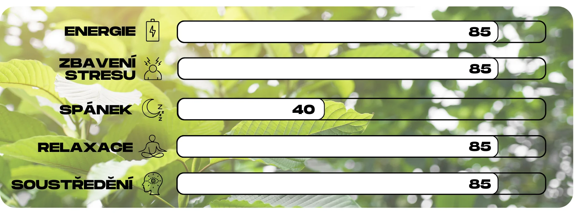 ucinky kratomu white entikong