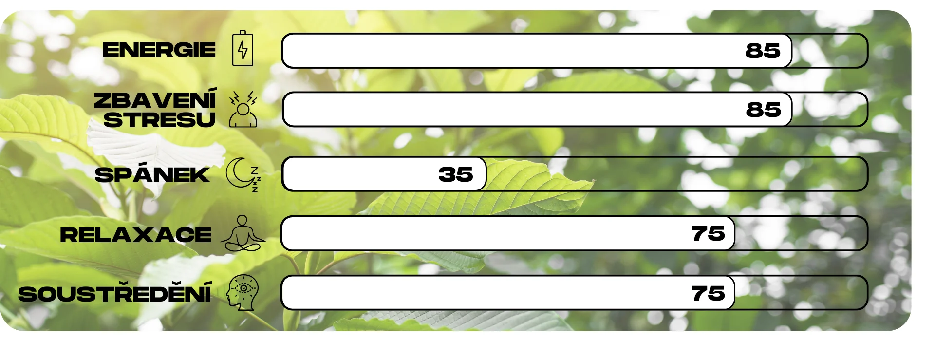 ucinky kratomu white javanica