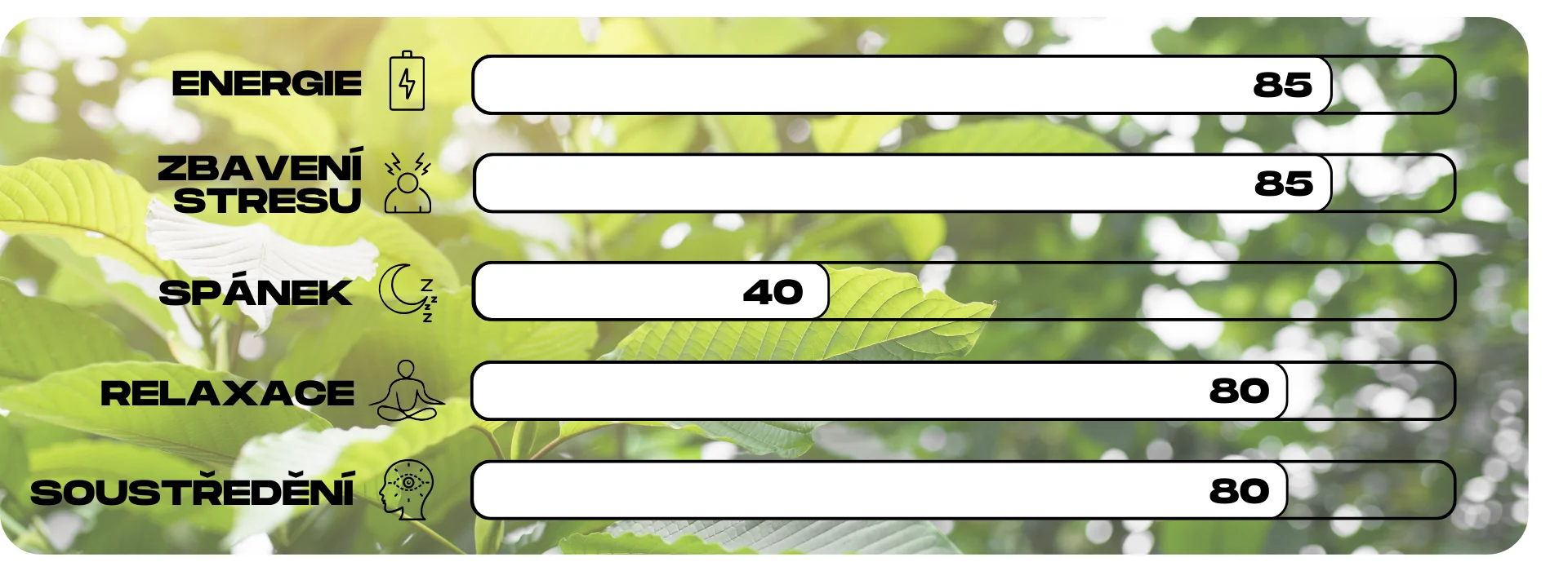 ucinky kratomu white jongkong