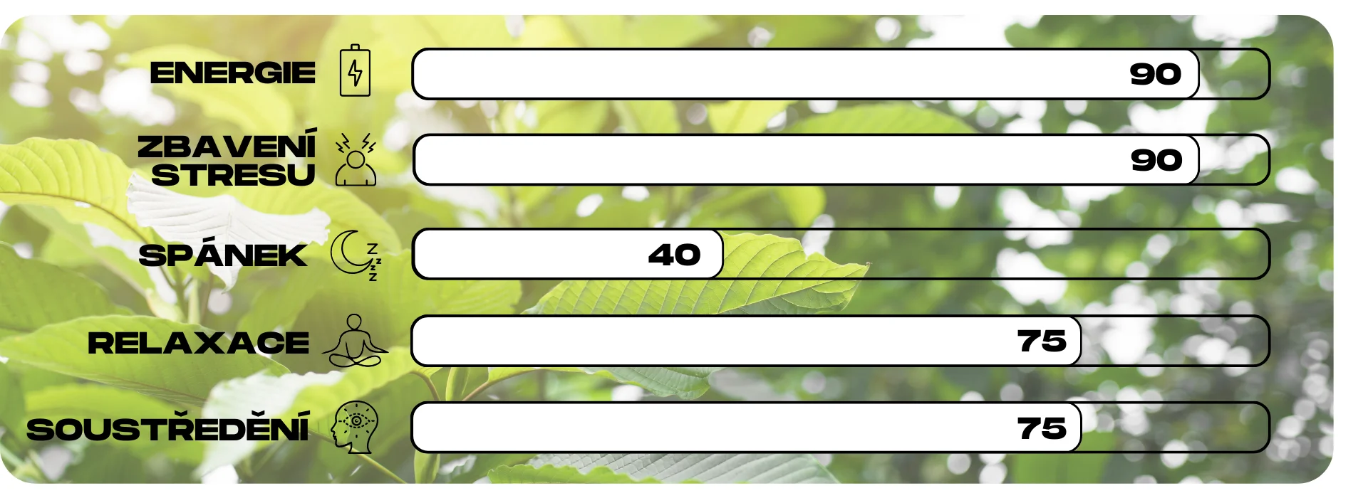 ucinky kratomu white jungle