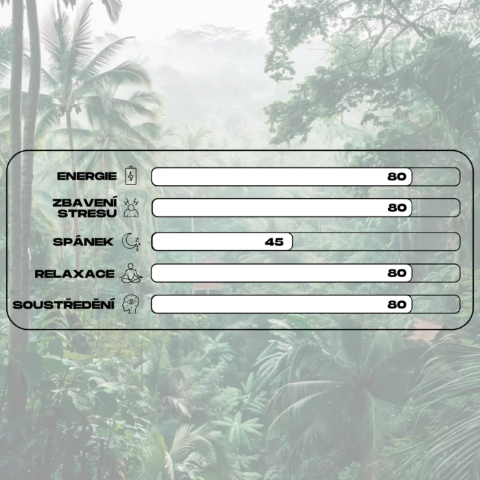 ucinky kratomu white ketapang