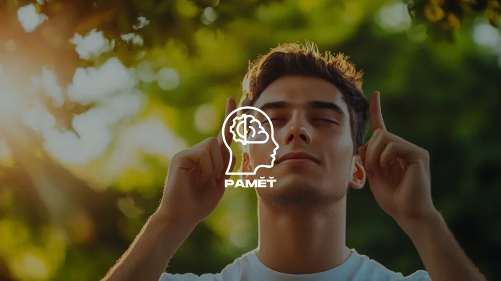 superpotraviny paměť